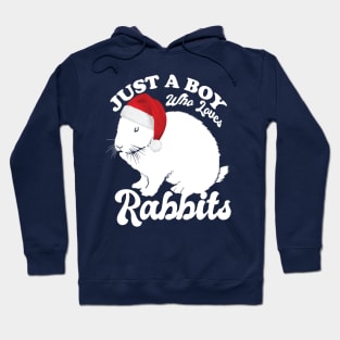 Just a boy who loves Rabbits Hoodie